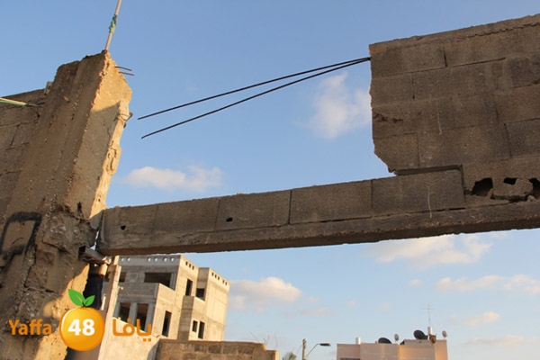 sakis family ard 826 (8).JPG